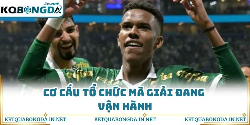 Cơ cấu tổ chức mà giải đang vận hành